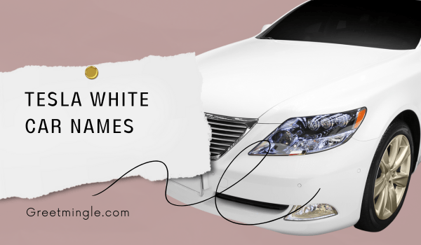 tesla white car names