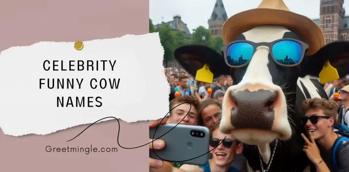 Celebrity Funny Cow Names