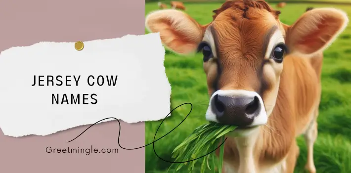 Jersey Cow Names