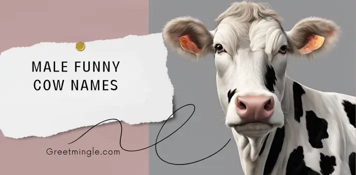 Male Funny Cow Names