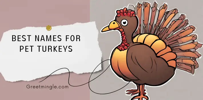 best names for pet turkeys