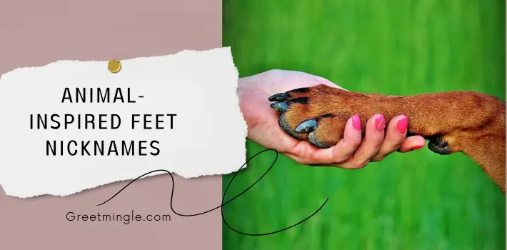 Animal-Inspired Feet Nicknames