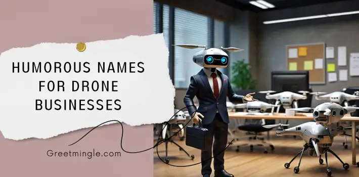 Humorous Names For Drone Businesses