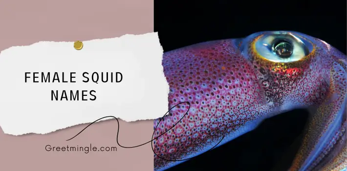 Female Squid Names