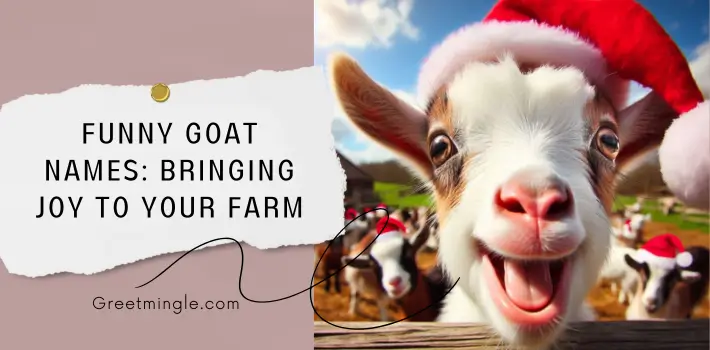 Funny Goat Names Bringing Joy To Your Farm