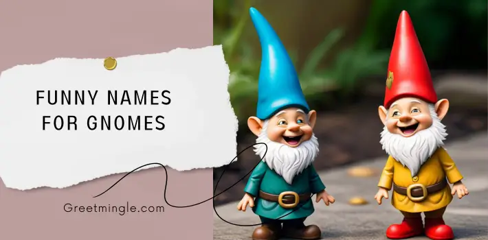 Funny Names For Gnomes