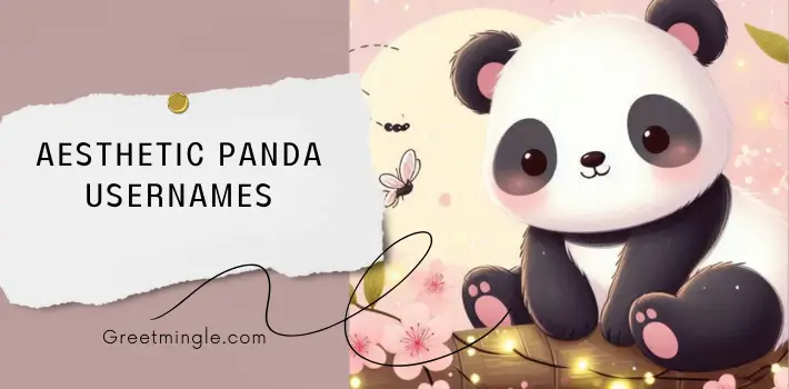 Aesthetic Panda Usernames