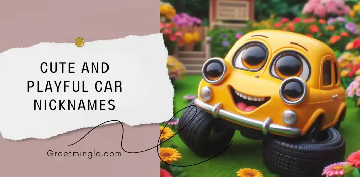 Cute And Playful Car Nicknames