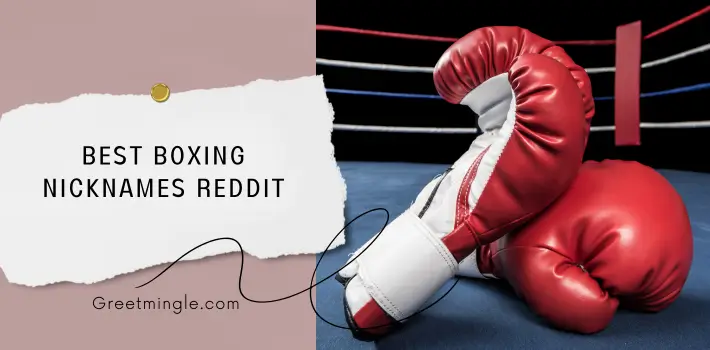 Best Boxing Nicknames Reddit