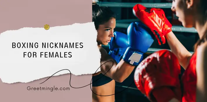 Boxing Nicknames For Females