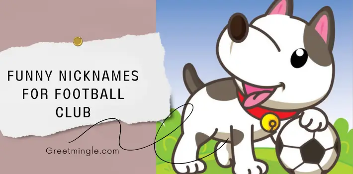 Funny Nicknames For Football Club