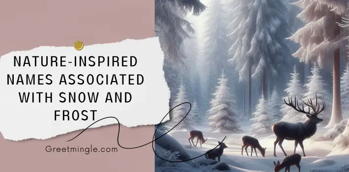 Nature-Inspired Names Associated With Snow And Frost