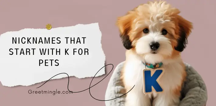 Nicknames That Start With K For Pets